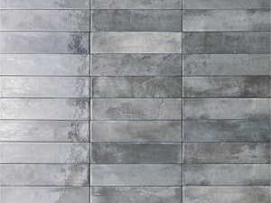 Mojave Light Gray 2.5 x 10